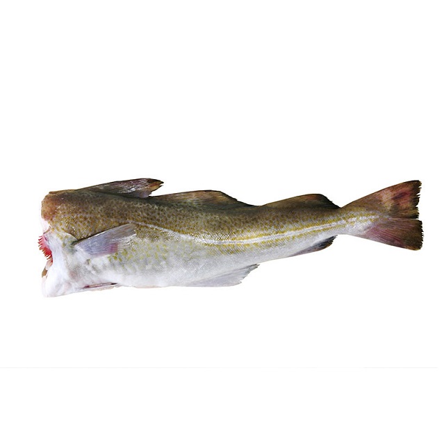 bacalao skrei